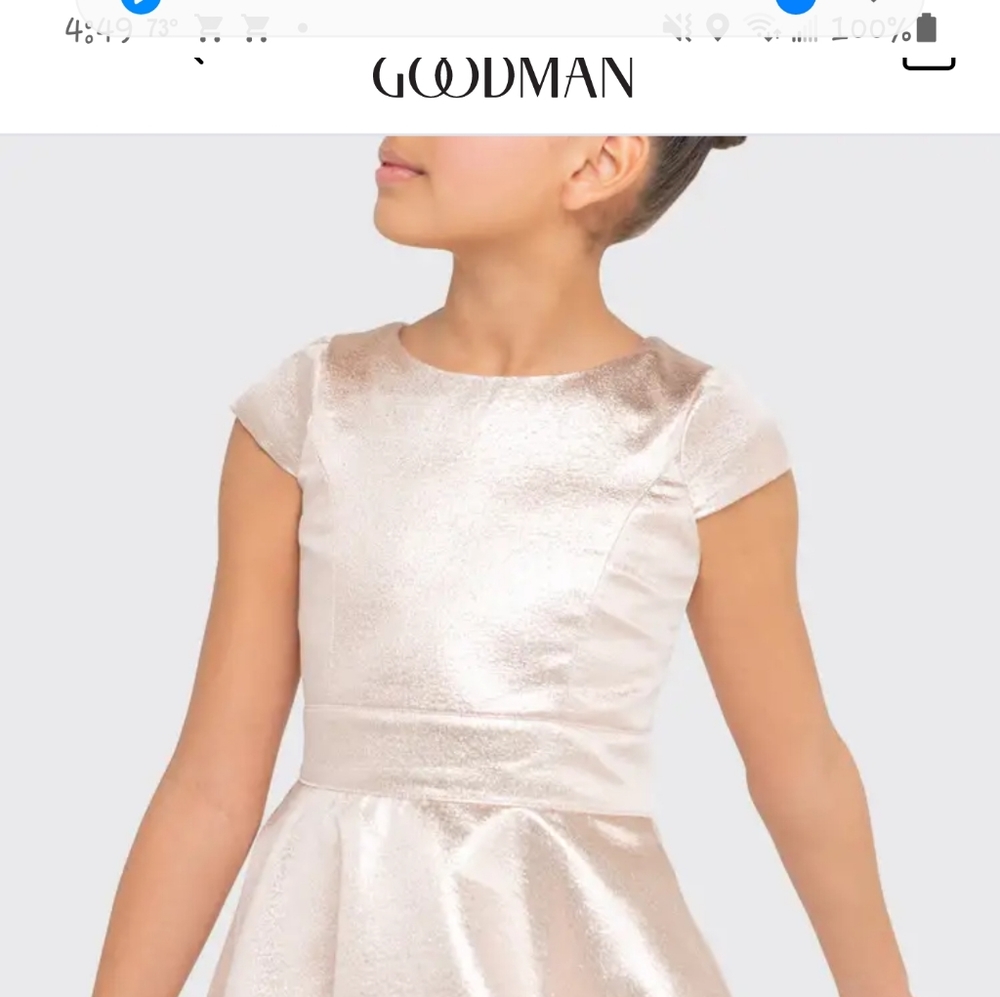 Rose Metallic Skater Dress